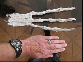 エイリアンの巨大な“手”がレントゲンで撮影される？ 専門家「地球の生物ではない」＝ペルー