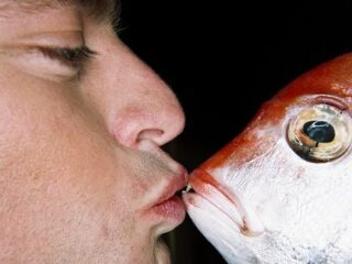 下水のせいで「魚たちがセックス狂になる」可能性が浮上！ 異常な性欲が… 原因はまさかの医薬品！