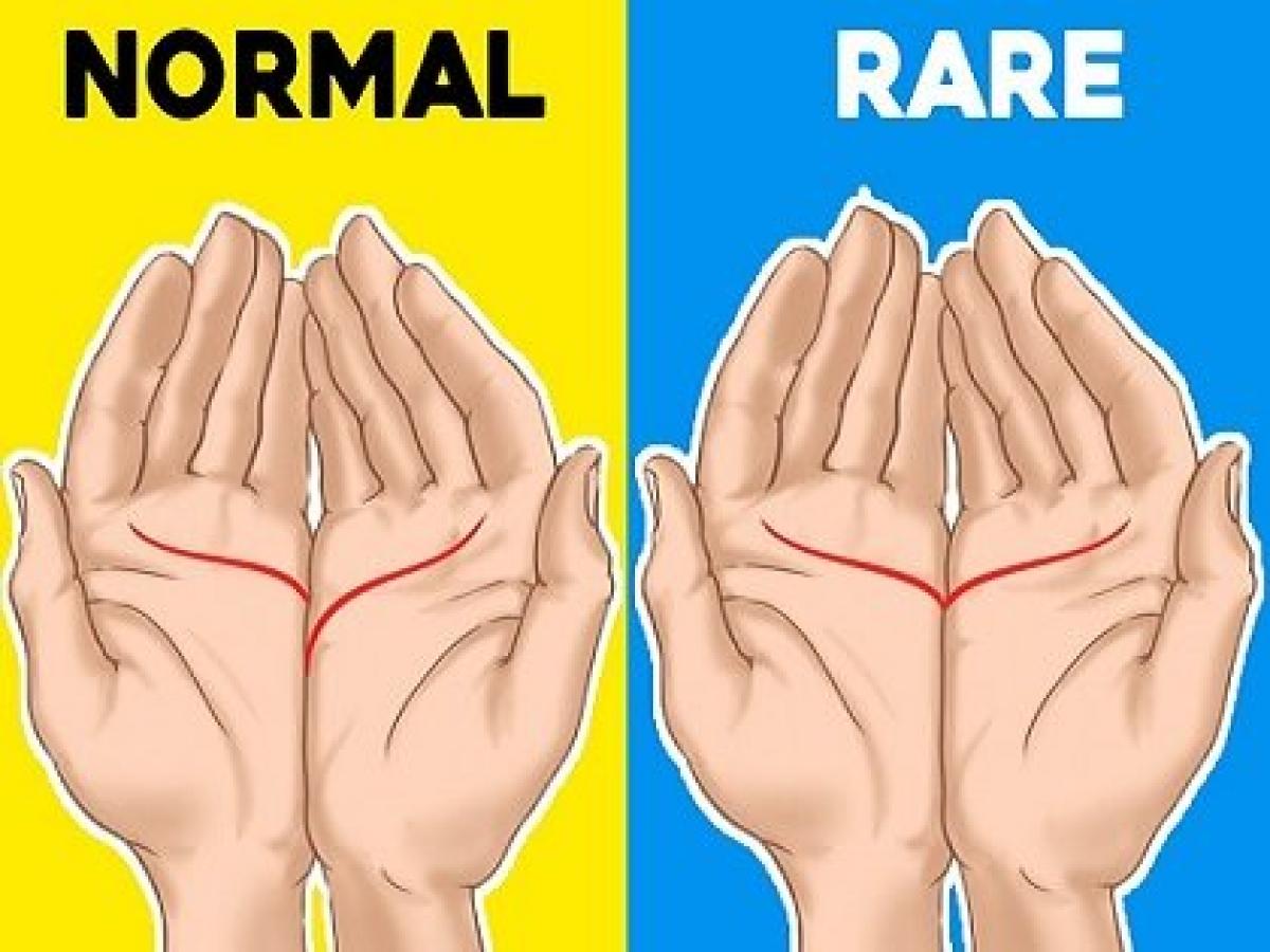 左右の 手相の位置 で人生がわかる 両手占い が当たり過ぎる 両手の 感情線 がぴったり合う人はトラブルだらけの人生