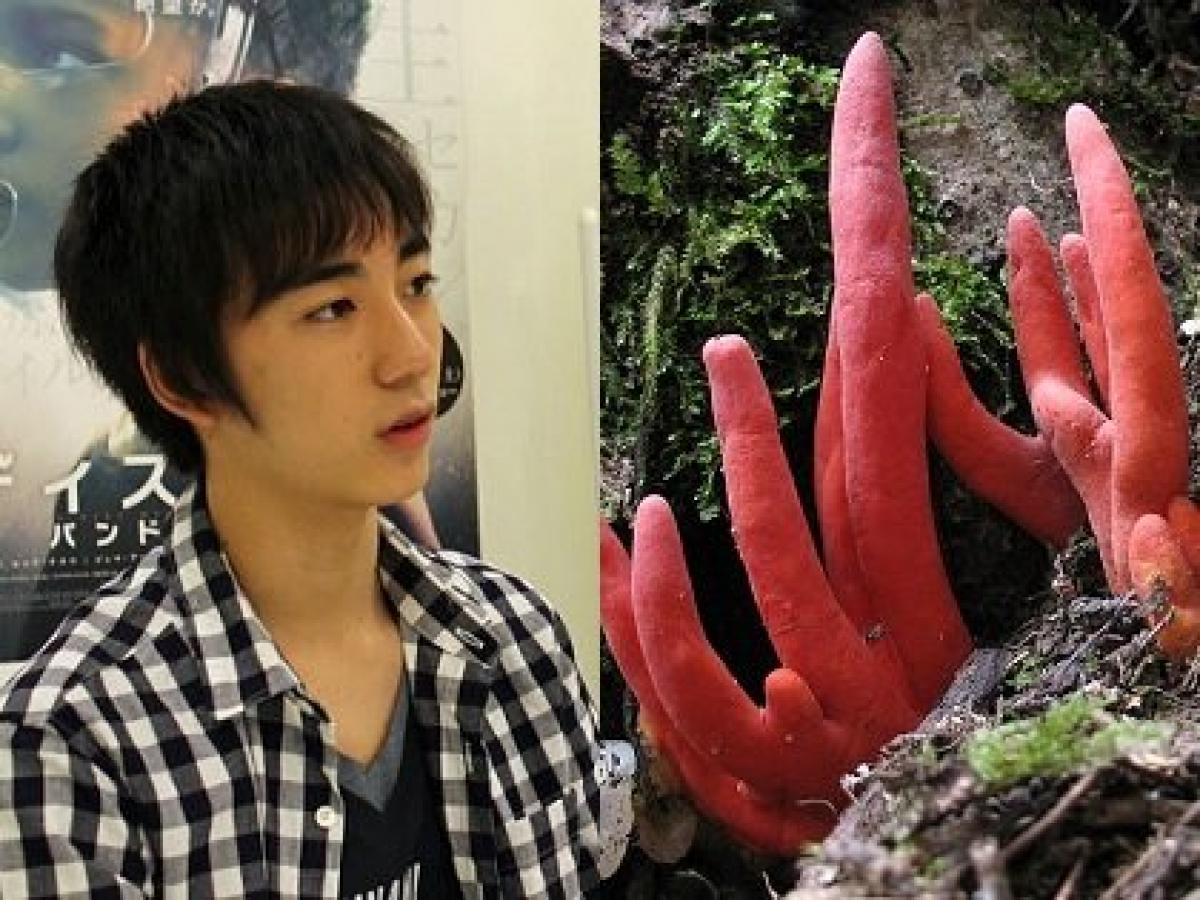 人を自殺させるキノコからワライタケまで 天才中学生キノコ博士が明かした 最凶猛毒キノコ4選 がヤバすぎる インタビュー