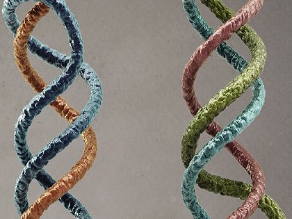 “三重らせん”構造のDNAを持つ子どもがいる？「超人類」への進化が始まった可能性！