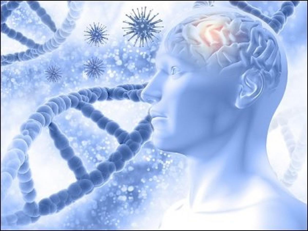 人間の知能を決める遺伝子が52個発見される! 遺伝的に「賢い