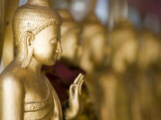 脳科学が仏教に同意「無我を全面的に認める」！ 一方、ダライ・ラマは「科学に改宗してもいい」