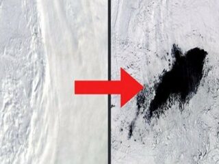 南極のド真ん中に超巨大穴「ポリニヤ」（4万平方km）が出現！ 形成から消滅までのメカニズムが不明、科学者困惑「宇宙人基地の可能性」