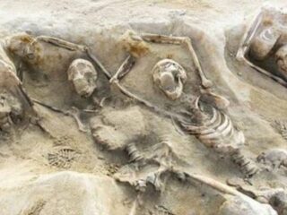 腰から歯が生えた女、人骨を栄養にする木…世界のゾッとする考古学的発見10選！