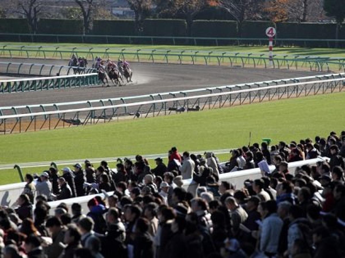 有馬記念 間違いなく一獲千金 武豊オジュウチョウサンは危ない 箝口令の 極秘情報 を緊急暴露