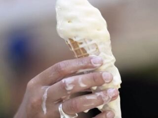 溶けないアイスクリームが完成間近!! 日本人が大好きな●●が開発のカギ!!
