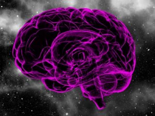 宇宙の歴史は全部嘘、「ボルツマン脳」が作り出した虚構！ ビッグバンも完全妄想、宇宙の起源は●●だった！