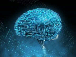 「人間はコンピュータである」米有名大学が実証へ！ 意識や感情も“量子”で解明、人間観が劇変か！
