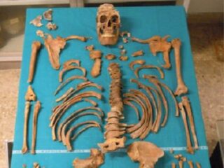 18世紀の去勢歌手「カストラート」の遺骨を解析！ バチカンによるおぞましい少年身体改造の実態が明らかに！