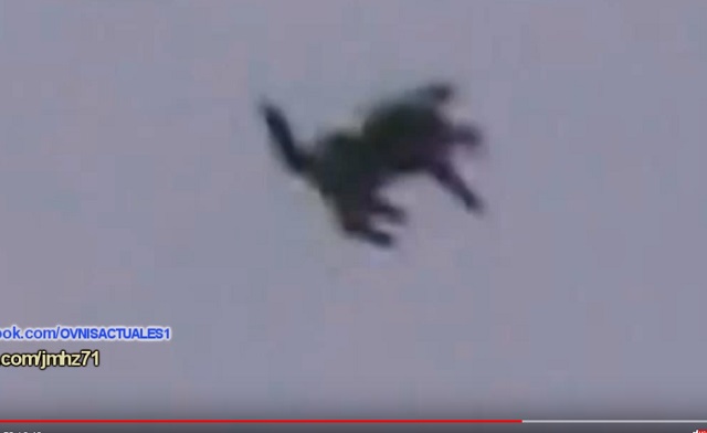ネコが「宇宙人が送り込んだスパイ」である決定的証拠2つ! UFOに乗り込む衝撃映像、飼い主監視…!の画像4
