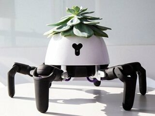 日光を求めて勝手に歩く「ロボット植木鉢」がハイテク可愛すぎる！ 水がないと激おこ、満足すると踊りだす…！