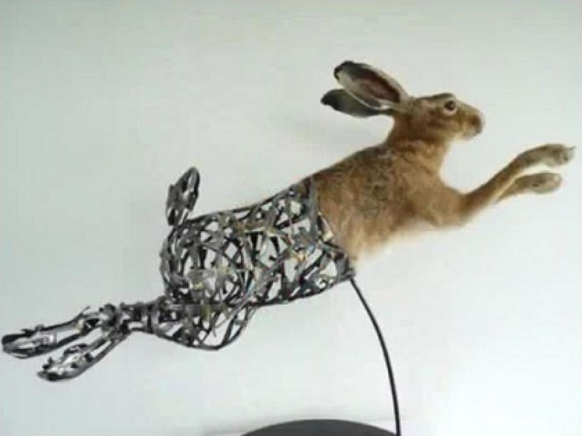 美しすぎるサイボーグ彫刻 動物と金属の奇跡の融合ｰトカナ