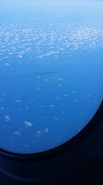 日本海を時速100キロで泳ぐUSOを旅客機の乗客が撮影! UFOか、UMAか…未確認潜行物体がクッキリ!の画像3