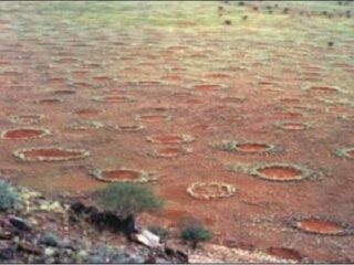 オーストラリアの砂漠で“妖精の輪”が大量出現！ 新型ミステリーサークルか？