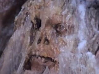 ヒマラヤで発見された233万年前の「奇跡の“凍った”洞窟男」は本物か？ ホモ・ハビリスの謎とは？