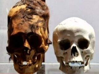 宇宙人か、古代人か？ 南極大陸で世にも異様な“長頭頭蓋骨”が発見される！