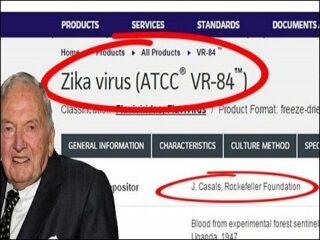 ジカウイルスがオンラインで販売中！ 感染経路に「遺伝子組み換え蚊」と「ロックフェラー財団」の影