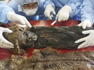 シベリアで子どもの“氷漬けミイラ”が発見される！ 内臓がバッチリ残存した解剖結果に専門家驚愕！