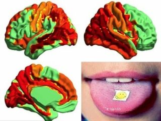 世界初、LSDが「高次の意識状態」を生み出していることが脳科学で判明！キマッている時は無我の境地か!?