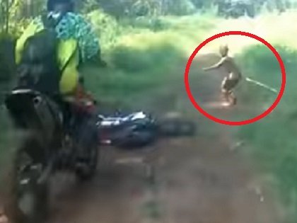 インドネシアで目撃される「小柄な人々」の謎… 現生人類とは異なるホモ・フローレシエンシスかの画像2