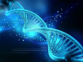 DNAコードは意思を持って記述されたプログラムだった!? 専門家が断言「偶発的に書き上がるものではない」