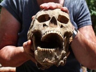 聖書に登場する巨人兵「ペリシテ人」の遺骨が大量出土！ 150体が眠る墓地の発掘調査が公開される
