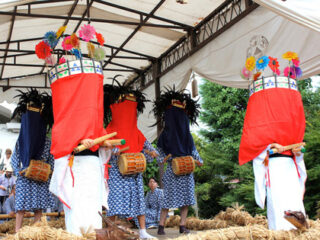 「40年間雨が降っていない」 男たちがぐるぐる巻きにされる大田区の奇祭「水止祭」