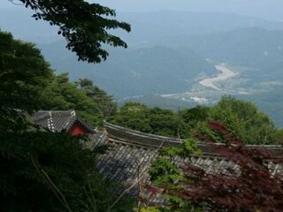 【韓国】本当だった「1000体超の遺体を山林で発見事件」！ 宗教団体が50年以上、信者を埋めていた？