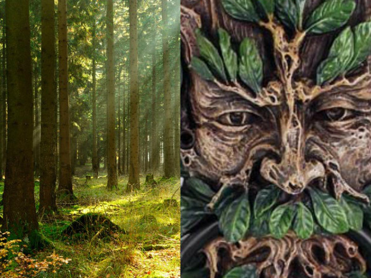 森林の精霊 グリーンマン と会った男 葉っぱに覆われた妖精が現れたその時