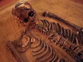 2500年前の若い男「アーチー」の骸骨をゲノム解析！古代フェニキア人の謎に近づく？