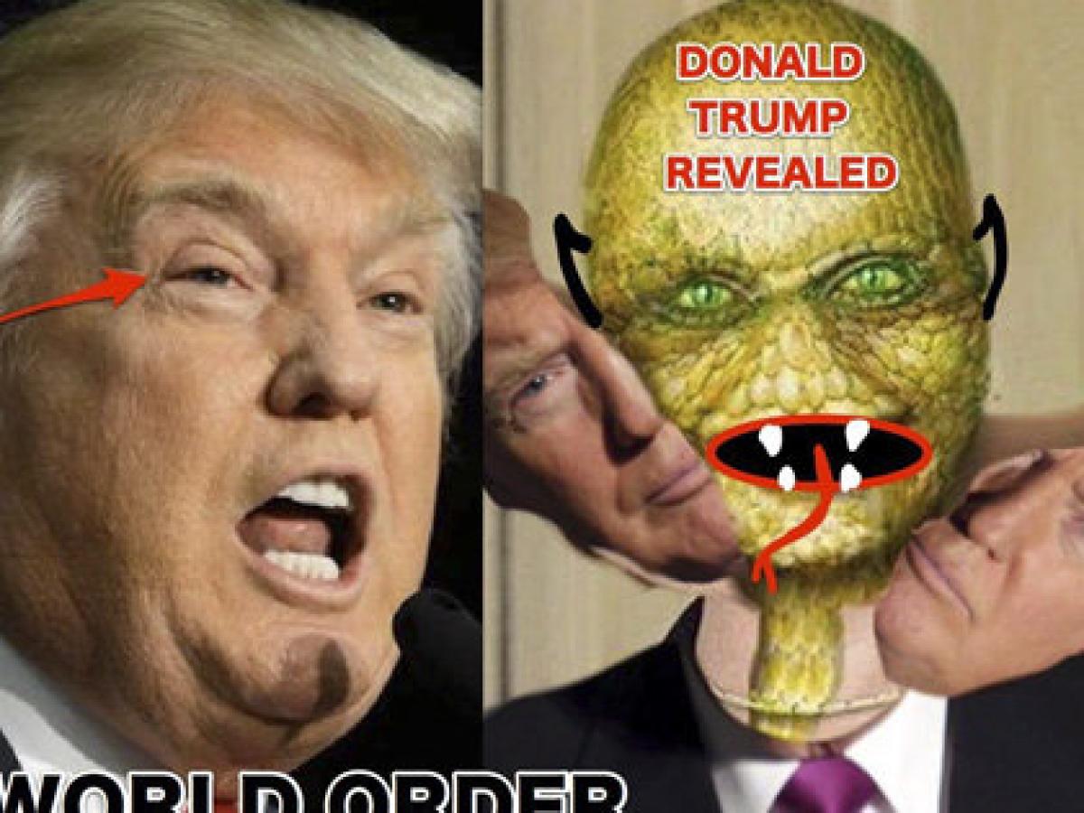 トランプは変幻型レプティリアンの最高指導者だった 専門家 彼の妻も明らかにトカゲ 医師 トランプは爬虫類脳 トランプは変幻型レプティリアンの最高指導者だった 専門家 彼の妻も明らかにトカゲ 医師 トランプは爬虫類脳