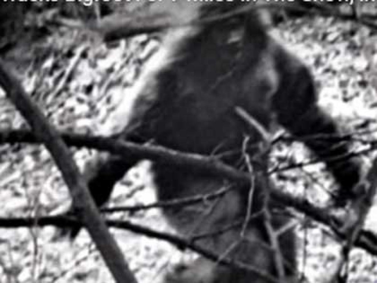 米大手放送局 ビッグフット出現 大々的に報道 残された巨大足跡を10キロ以上追跡した猟師が証言 ノースダコタ