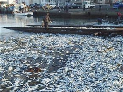 地震で崩壊する土地 は地名でわかる 阪神大震災から年データが語る地名と被害の相関
