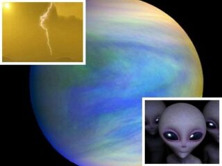 「金星の雲に生命が存在する可能性」NASA研究者発表！ 謎の黒いスポットに居住…やはり雲の中には何かいる！