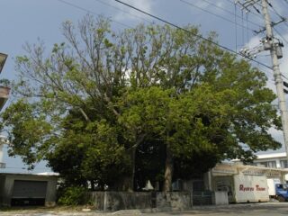 「命落とすよ」取材中に目から血を流した老婆が警告！ 沖縄「ユタの祠跡」にまつわるヤバイ過去とは!?