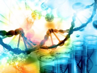 全身を切断されても再生できる「DNAスイッチ」をハーバード大が発見！ 全人類ウルヴァリン化へ…衝撃の研究結果！