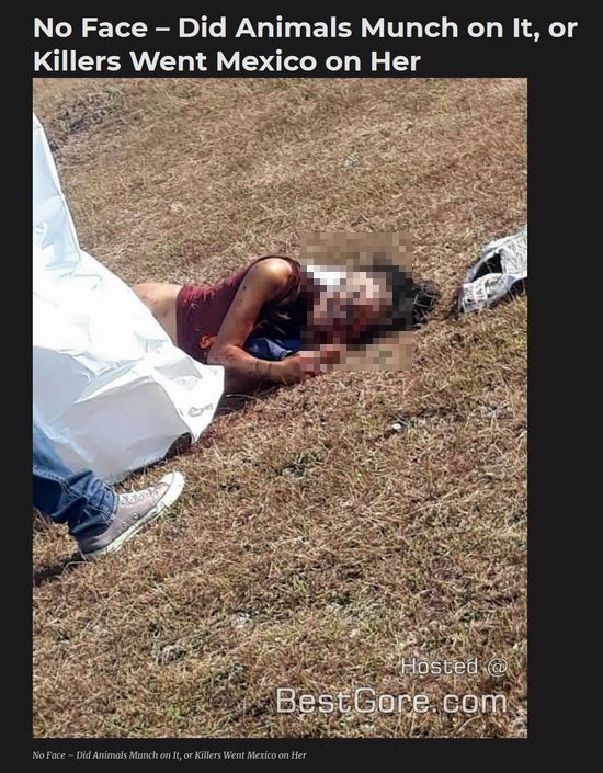 【閲覧注意】顔面の皮を剥ぎ取られた16歳少女の悲惨すぎる死体発見! 少年少女の痴情のもつれが招いた猟奇殺人事件=比の画像5
