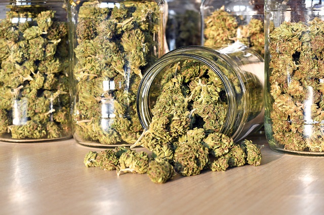 【朗報】大麻で女性のオーガズムが凄いことになるとセックス調査で判明! 300人以上を対象とした驚きの結果とは!?の画像4