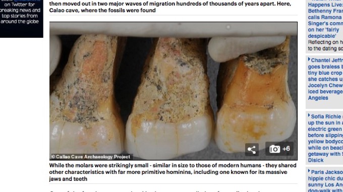 ホモ・ルゾネンシス ― ホビットより小さい体をもつ“新種の人類”の化石がフィリピンで発見される！