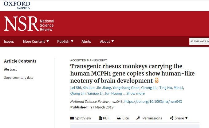 サルに人間の遺伝子を組み込み、脳を人間のように発達させることに成功！ 中国がまたヤバイ実験！の画像2