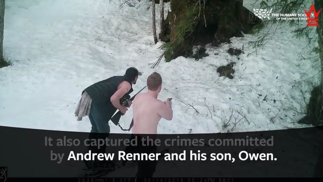 【閲覧注意】冬眠中の「クマの母子」を銃殺して楽しむ鬼畜父子! 非難殺到の胸糞映像=米の画像2