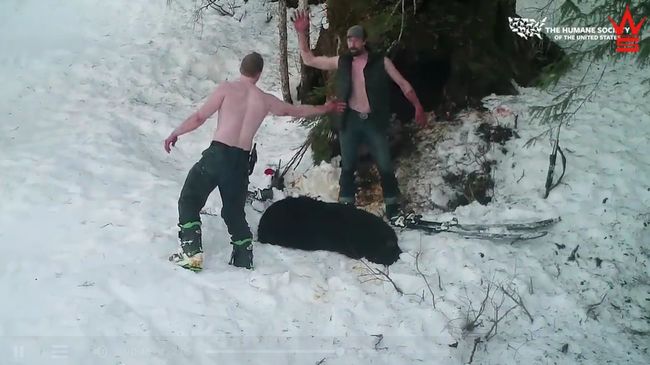 【閲覧注意】冬眠中の「クマの母子」を銃殺して楽しむ鬼畜父子! 非難殺到の胸糞映像=米の画像4