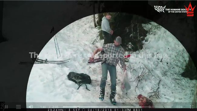 【閲覧注意】冬眠中の「クマの母子」を銃殺して楽しむ鬼畜父子! 非難殺到の胸糞映像=米の画像6