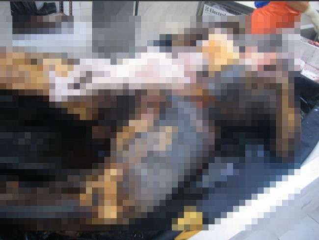【超・閲覧注意】妊婦の焼死体から取り出された胎児が不憫すぎる! その姿は意外にも… 母体と運命を共にした小さな命の画像4