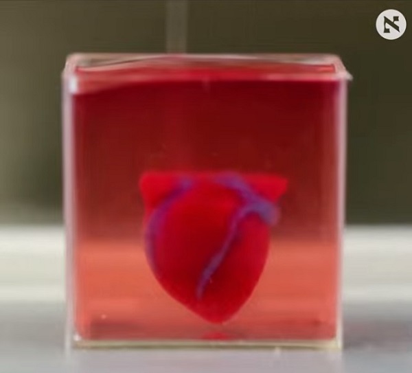 自分の細胞でスペア臓器が作れる時代、ついに到来! 「3Dプリント心臓」の実験成功、ドナーに頼らない臓器移植へ!の画像2
