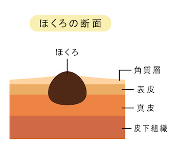 新天皇のご尊顔を「ホクロ占い」で鑑定した結果に震える! 日本の命運を左右する「4つのホクロ」とは!?の画像2