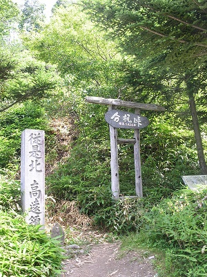 万病に効くという「釈迦の霊泉」の秘密、海水が腐らぬ謎… 水研究の権威・久保田昌治博士が語った本当に不思議な水(インタビュー)の画像7