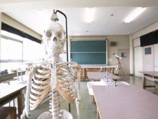 【足立区500体人骨放置事件】理科室の骨格標本、昔は「人間の死体」から作られた本物だった！ 学校の怪談はガチ…亜留間次郎が解説！