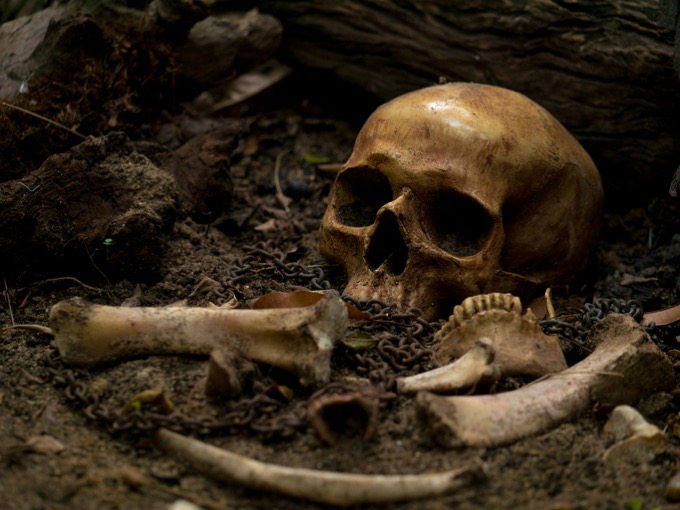 【足立区500体人骨放置事件】理科室の骨格標本、昔は「人間の死体」から作られた本物だった！ 学校の怪談はガチ…亜留間次郎が解説！